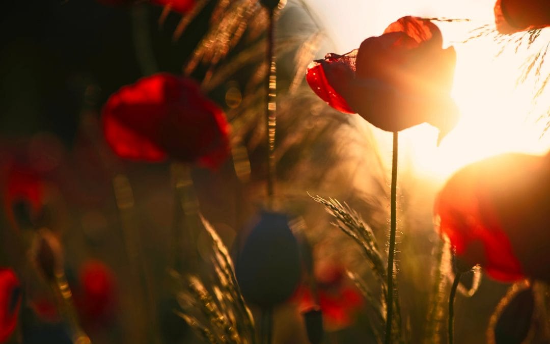 Hé onderneemster, stap jij in de zweefmolen?